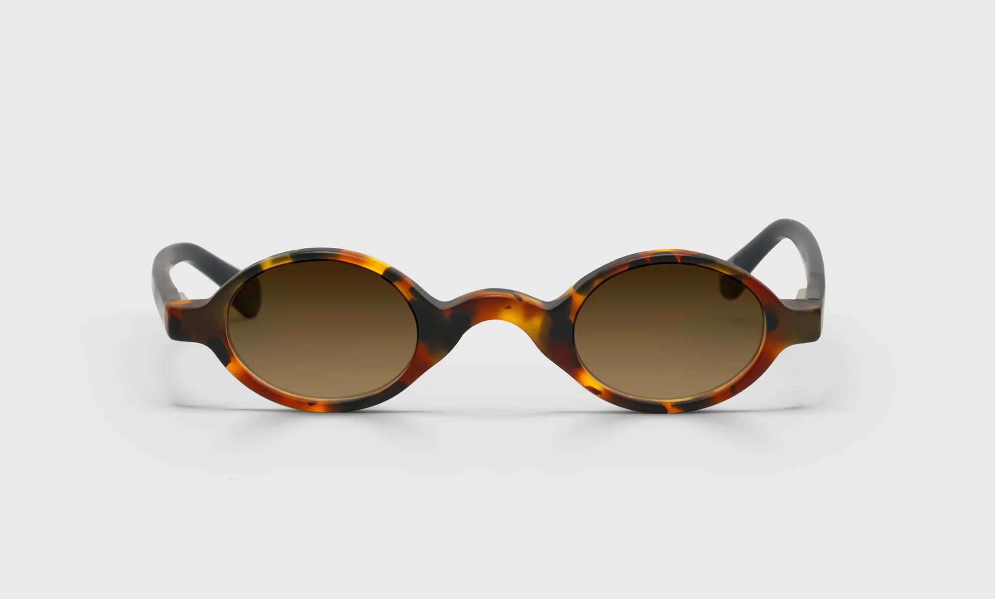 Old Money Color 19 -  Matte Tortoise Front with Black Temples