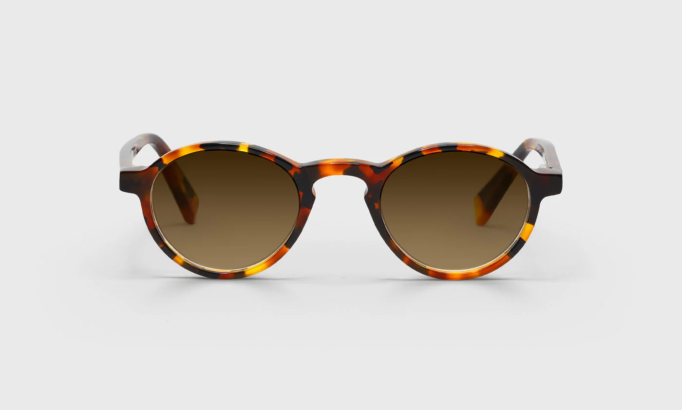 Board Stiff Narrow Color 19 - Tortoise Front and Temples