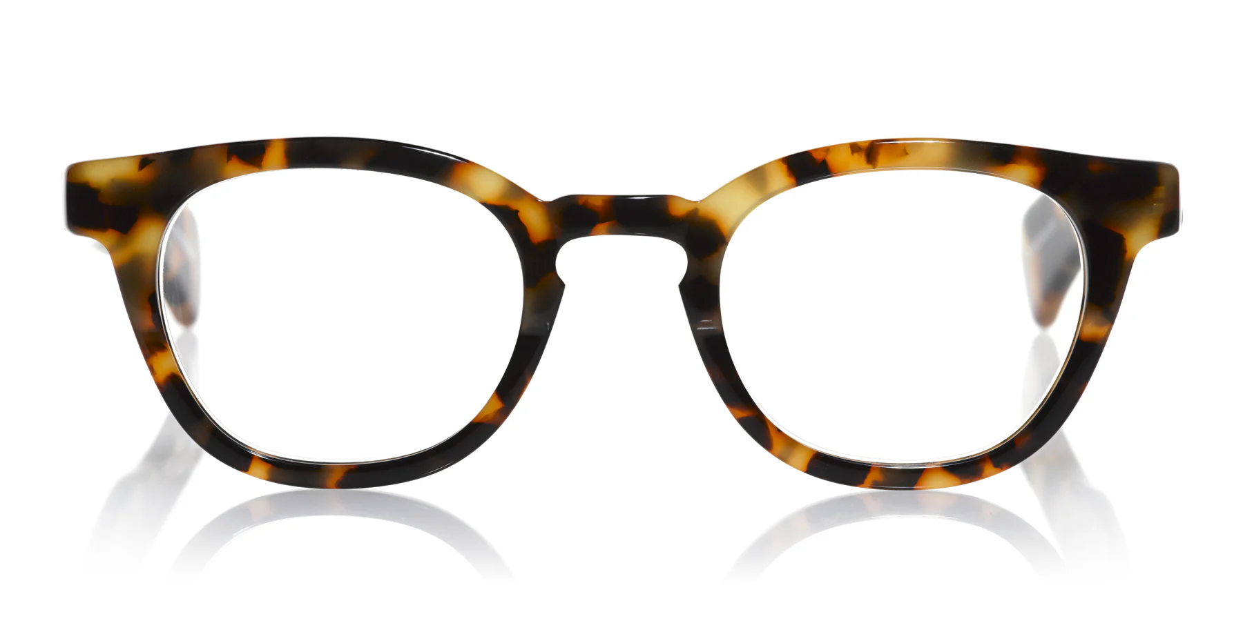 Total Wit Color 19 - Tortoise Front and Temples