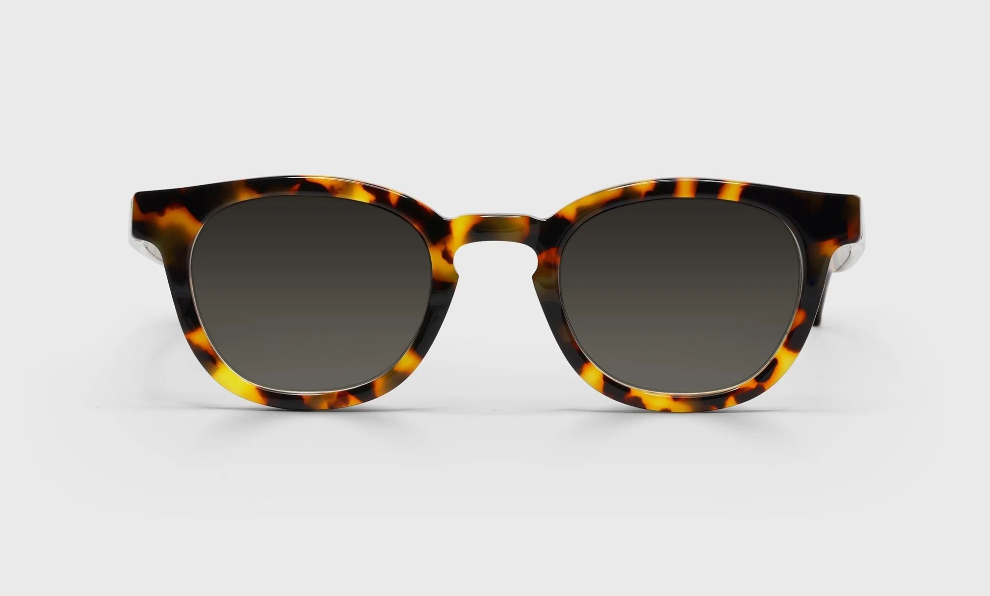 Total Wit Color 22 - Tortoise to Amber Fade Front and Temples