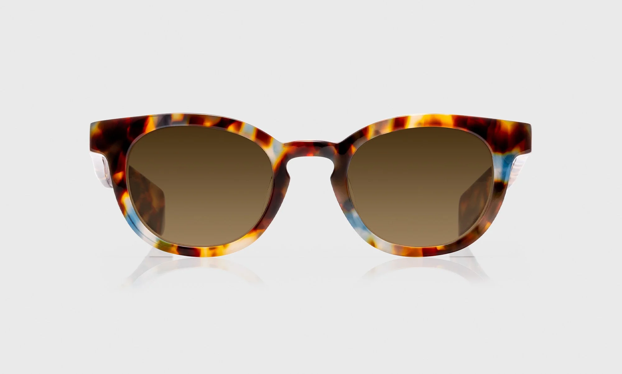 Total Wit Color 18 - Powder Blue and Coffee Tortoise Front and Temples