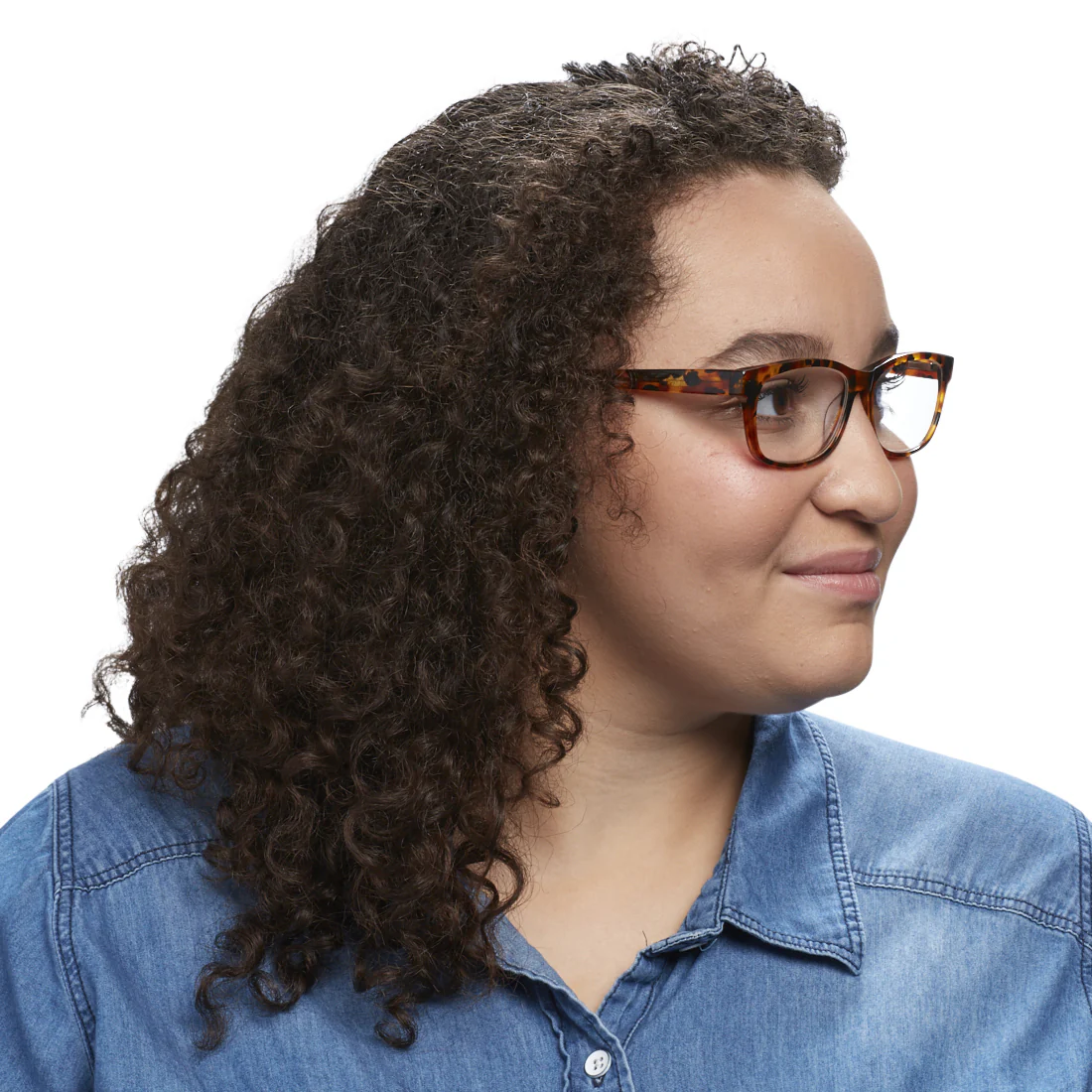 Bob Frapples Color 19 - Tortoise Front And Temples - Image 4
