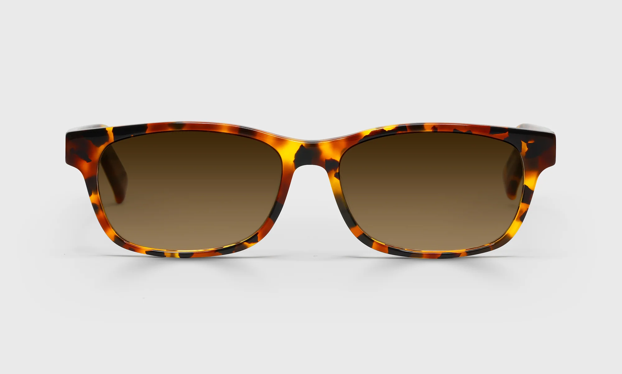 Bob Frapples Color 19 - Tortoise Front And Temples