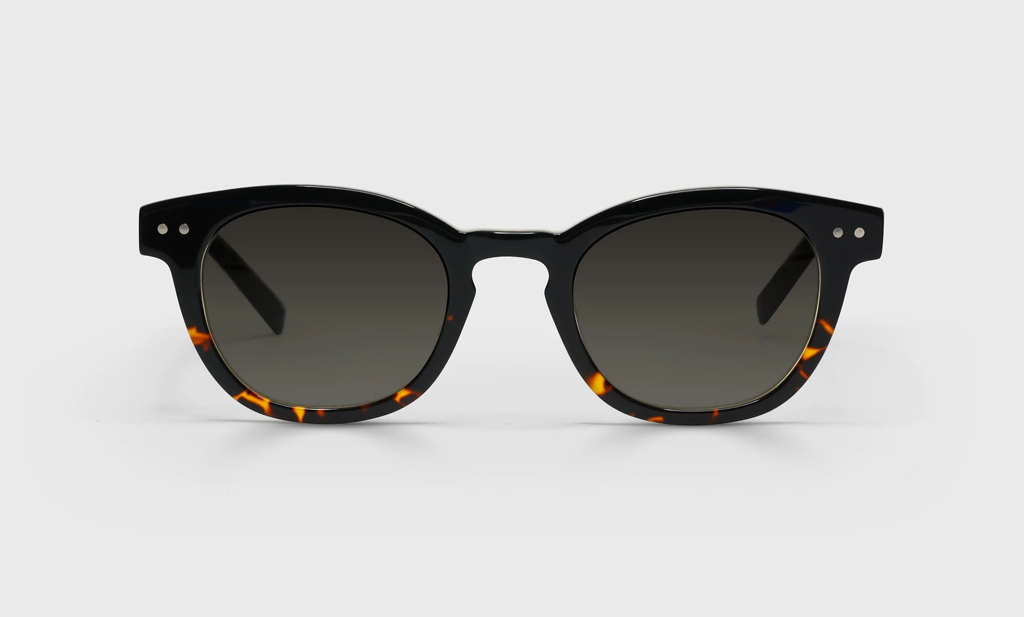 Waylaid Average Color 05 - Demi tortoise front with black temples - Image 2