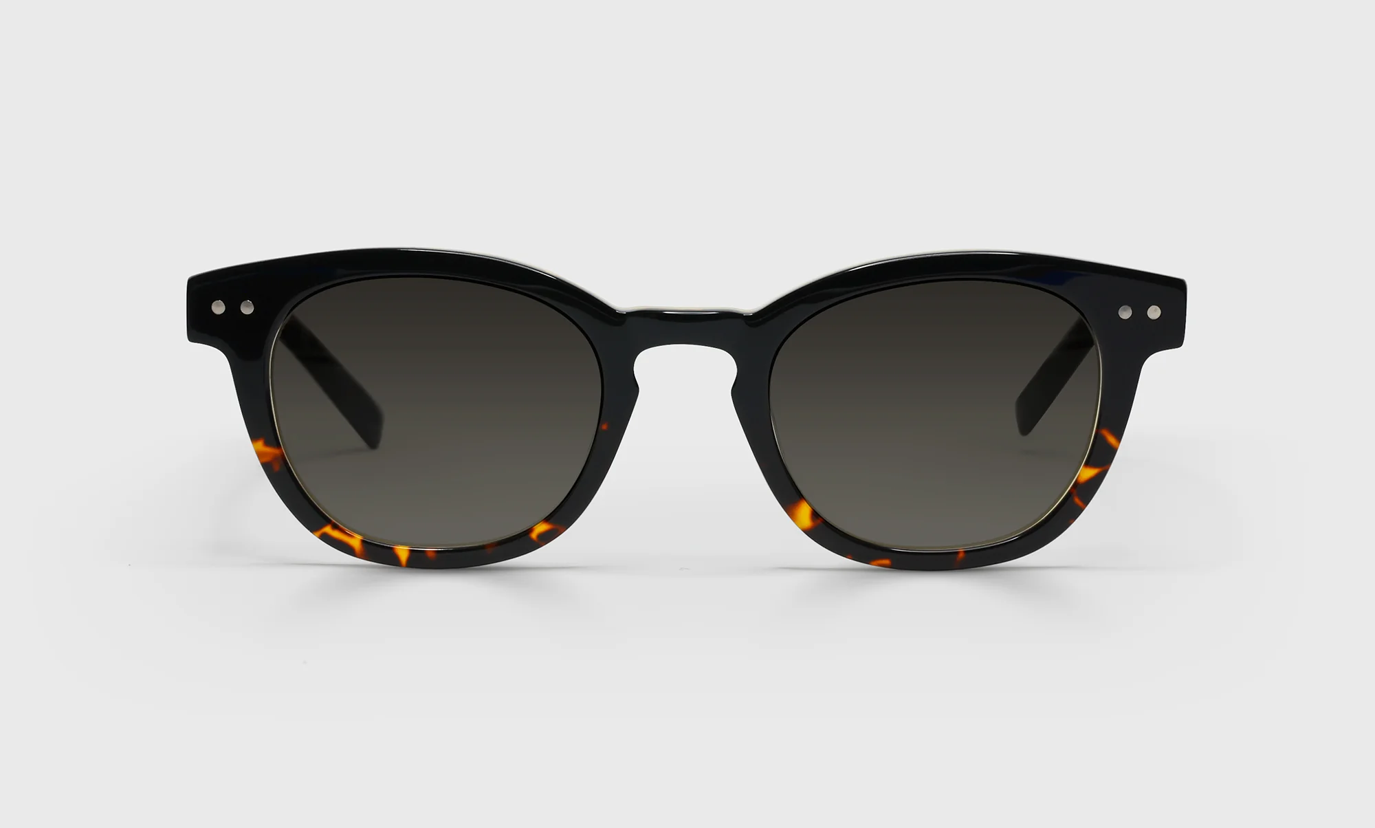 Waylaid Average Color 05 - Demi tortoise front with black temples - Image 4