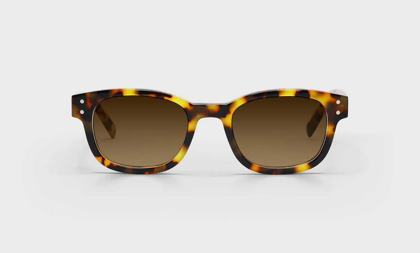 Biff Narrow Color 19 - Tortoise Front and Temples