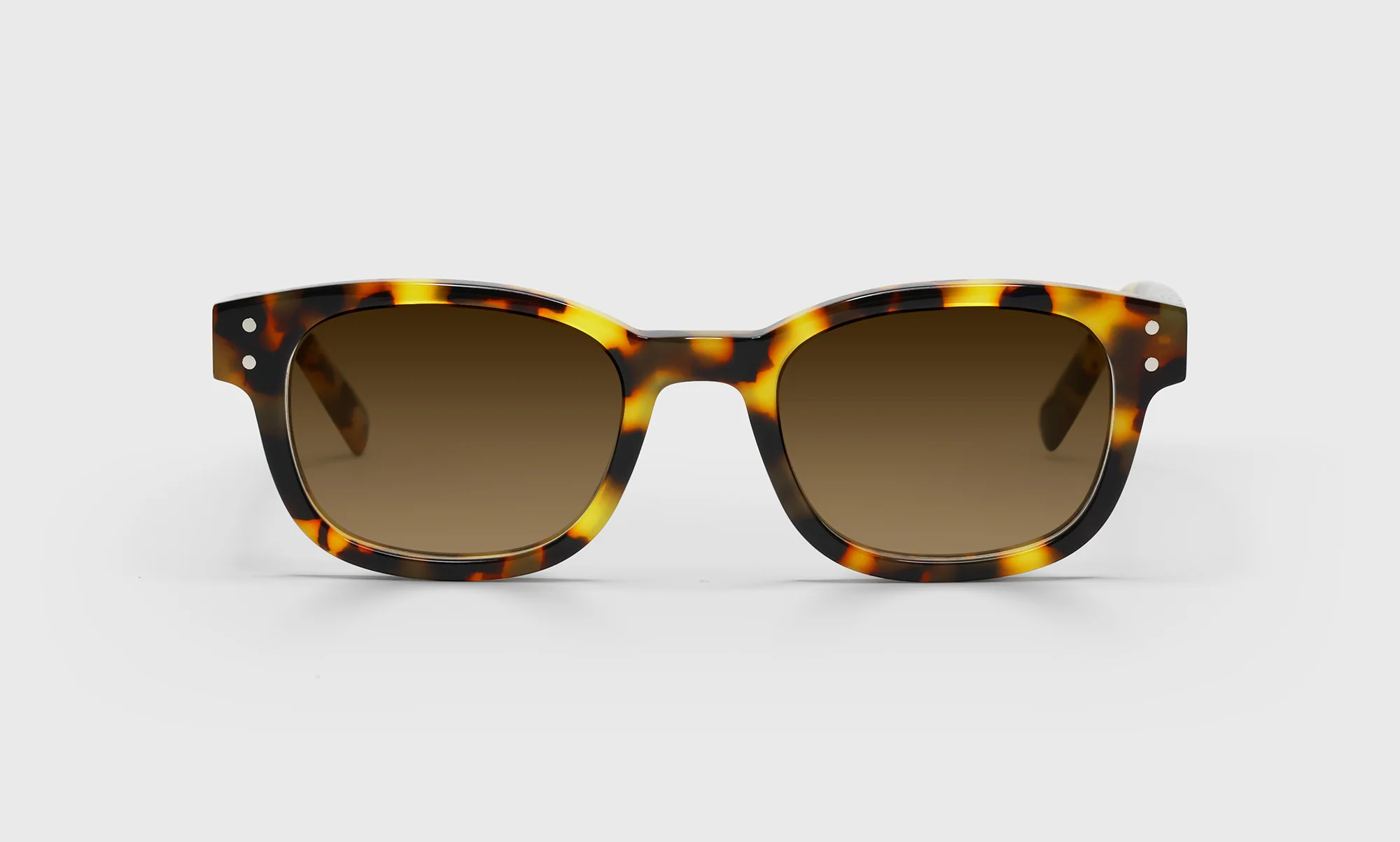 Biff Narrow Color 19 - Tortoise Front and Temples - Image 3