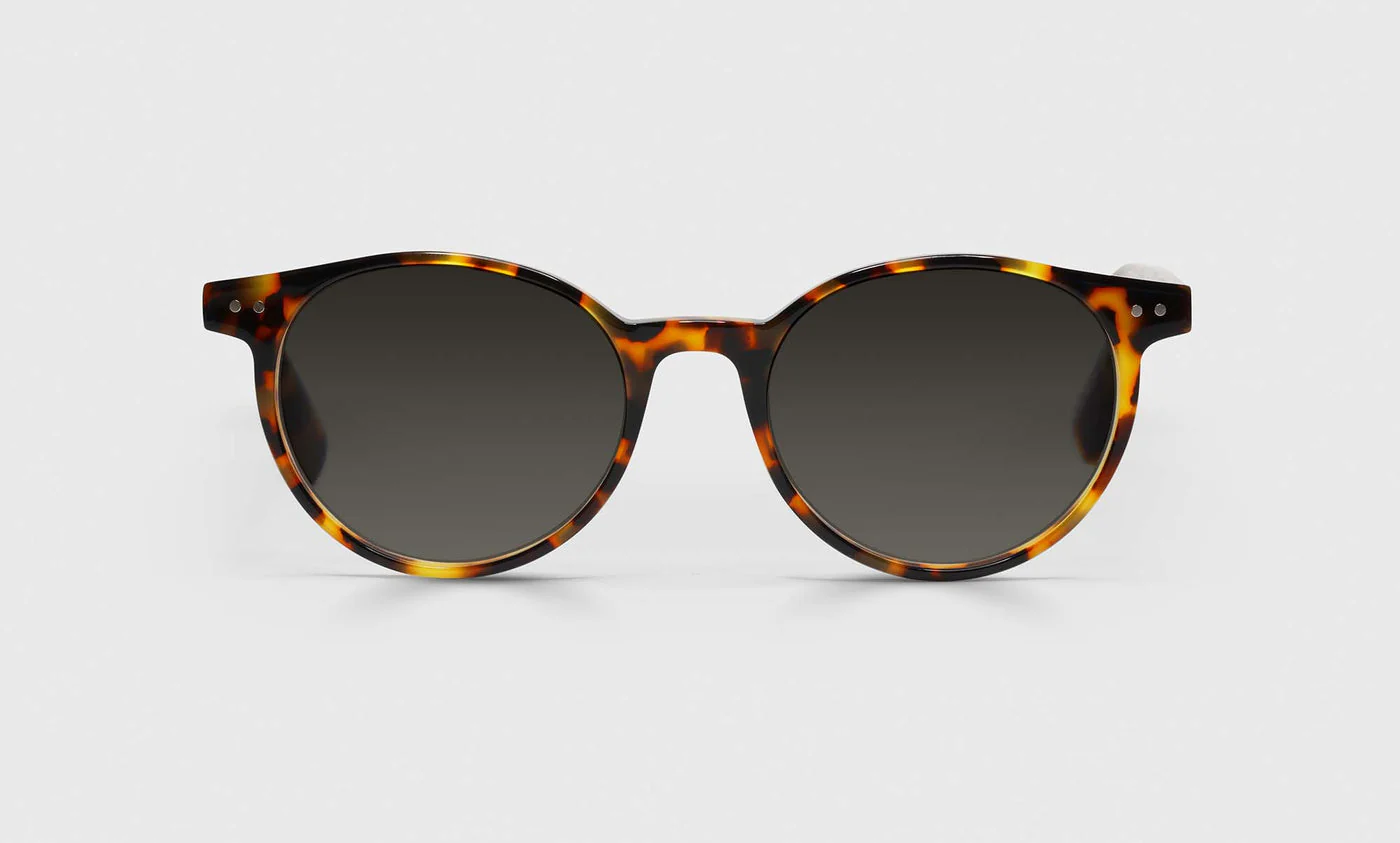 Case Closed Average Color 19 - Tortoise Front and Temples