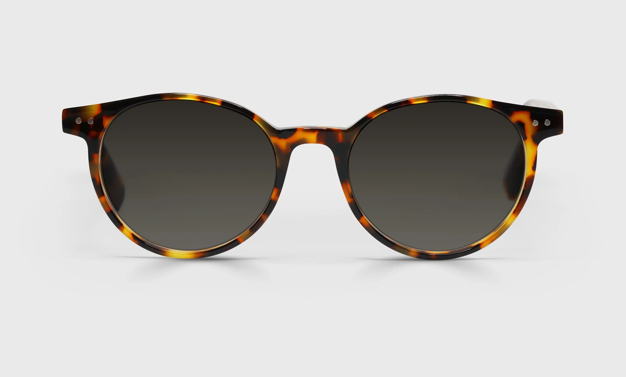 Case Closed Average Color 19 - Tortoise Front and Temples - Image 2