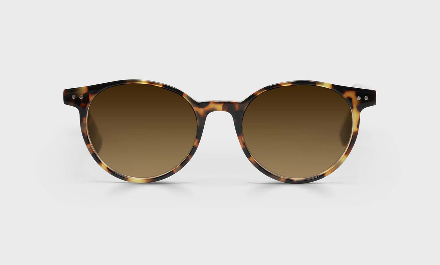 Case Closed Average Color 19 - Tortoise Front and Temples
