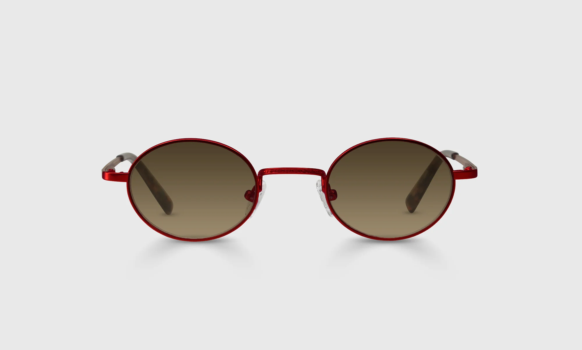 Teddy - Image 9