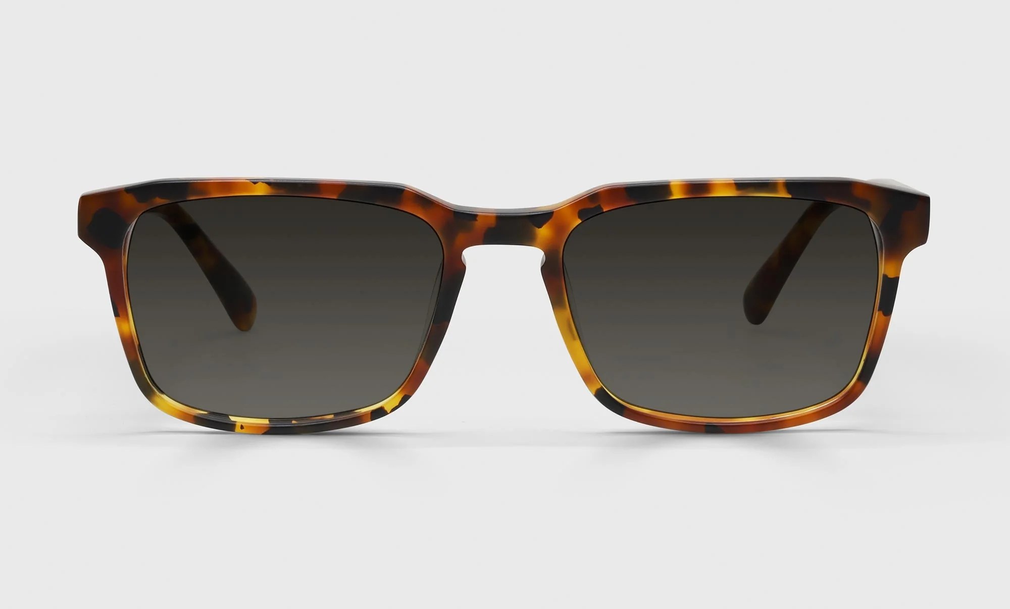 Seymour Glass Color 19 - Matte Tortoise Front and Temples