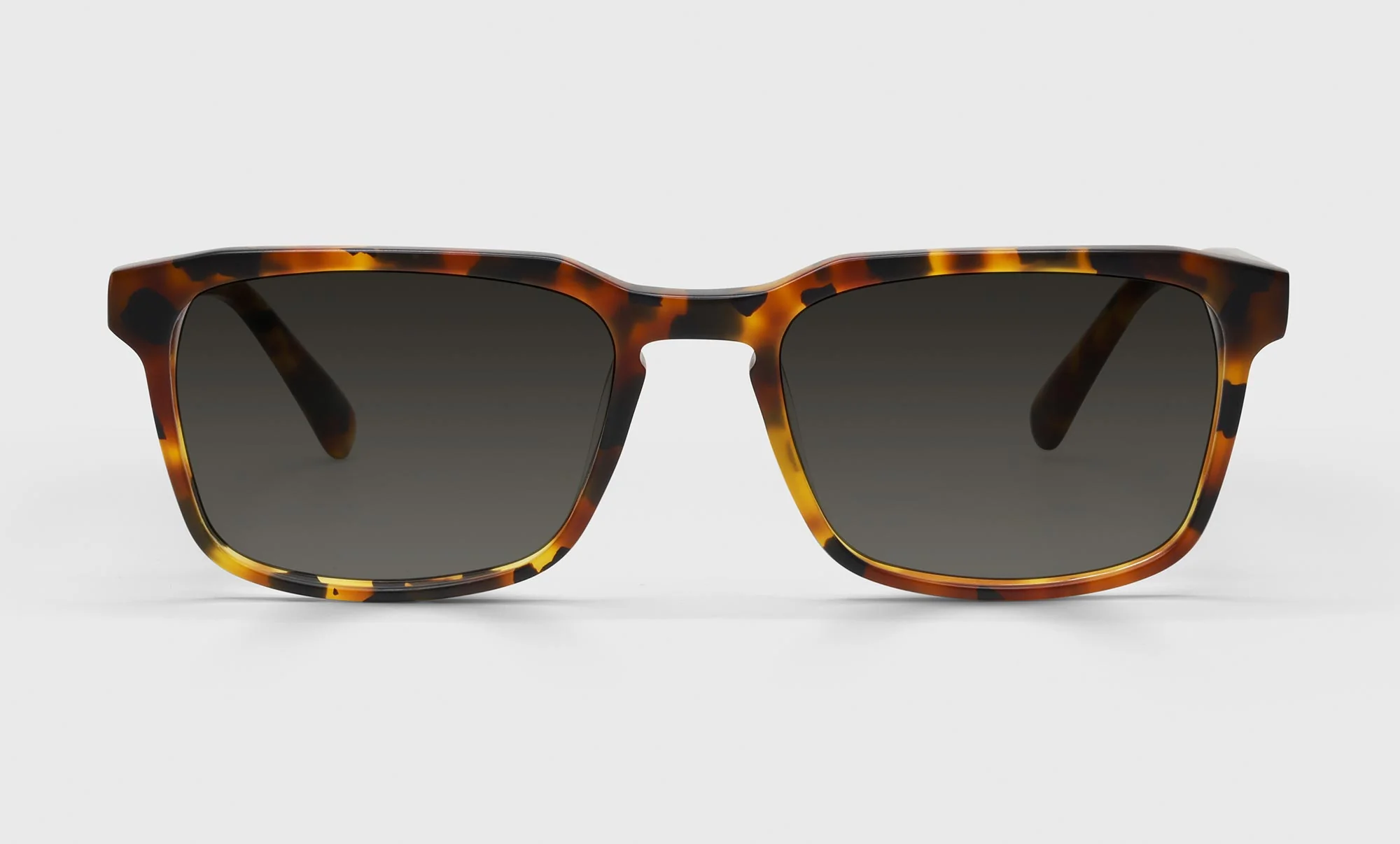 Seymour Glass Color 19 - Matte Tortoise Front and Temples - Image 2
