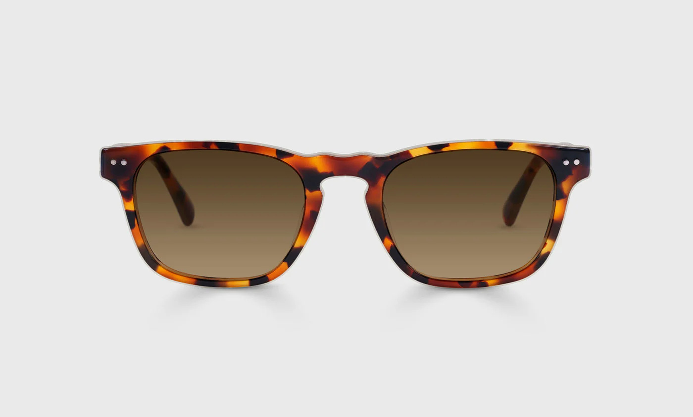 Old Sport Color 19 - Tortoise Front and Temples