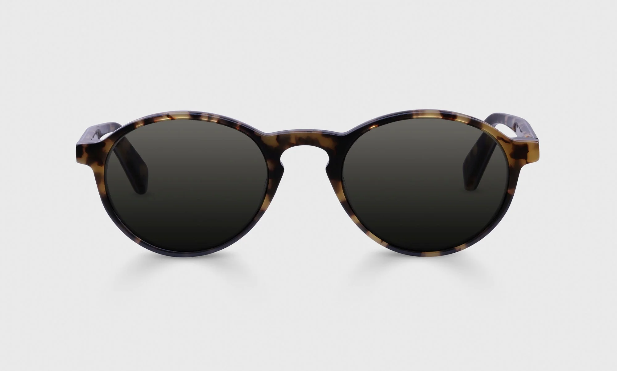 Board Stiff Wide Color T1 - Tortoise Front with Black & Tortoise Temples - Image 2