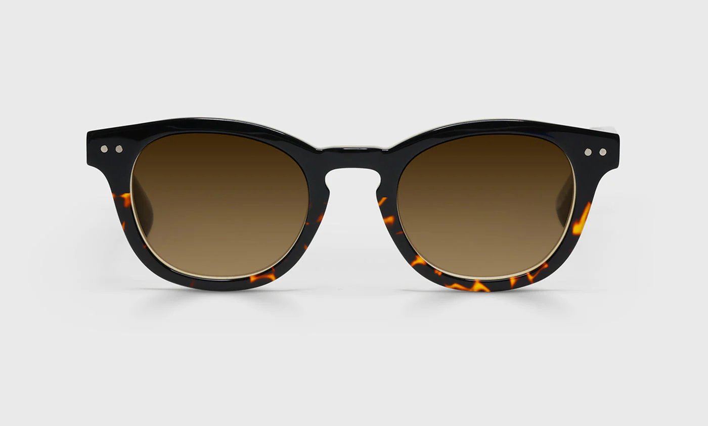 Waylaid Wide Color 05 - Demi tortoise front with black temples
