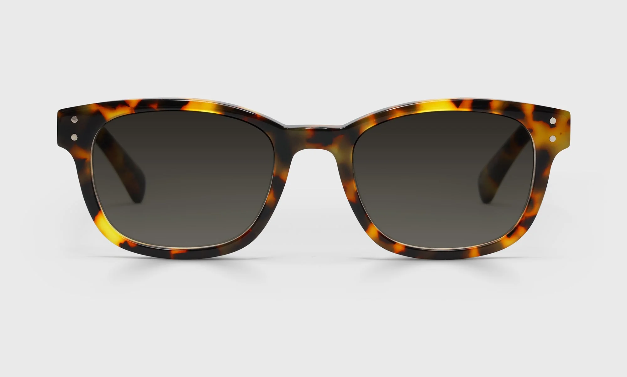 Biff Wide Color 19 - Tortoise Front and Temples - Image 2