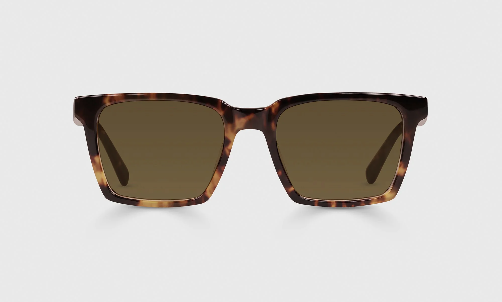 Rabble-Rouser Color 19 - Tortoise Front and Temples