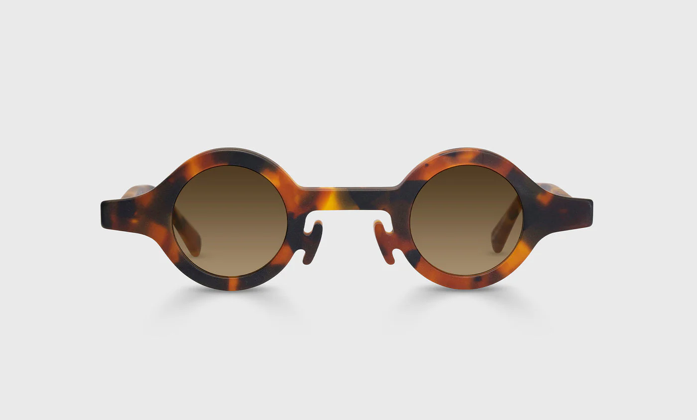 Wackadoodle Color 19 - Matte Tortoise Front and Temples