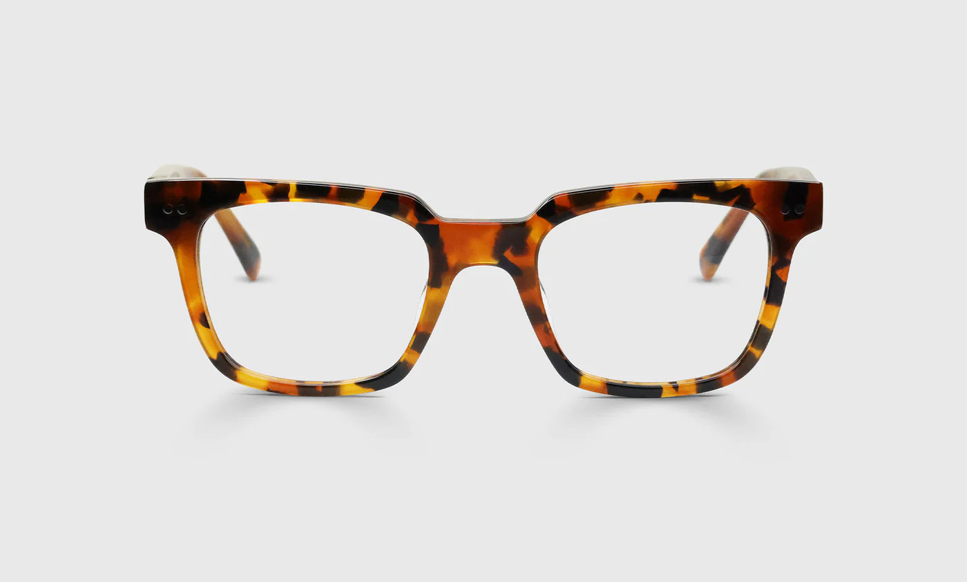 In Cahoots Color 19 - Amber Tortoise Front and Temples