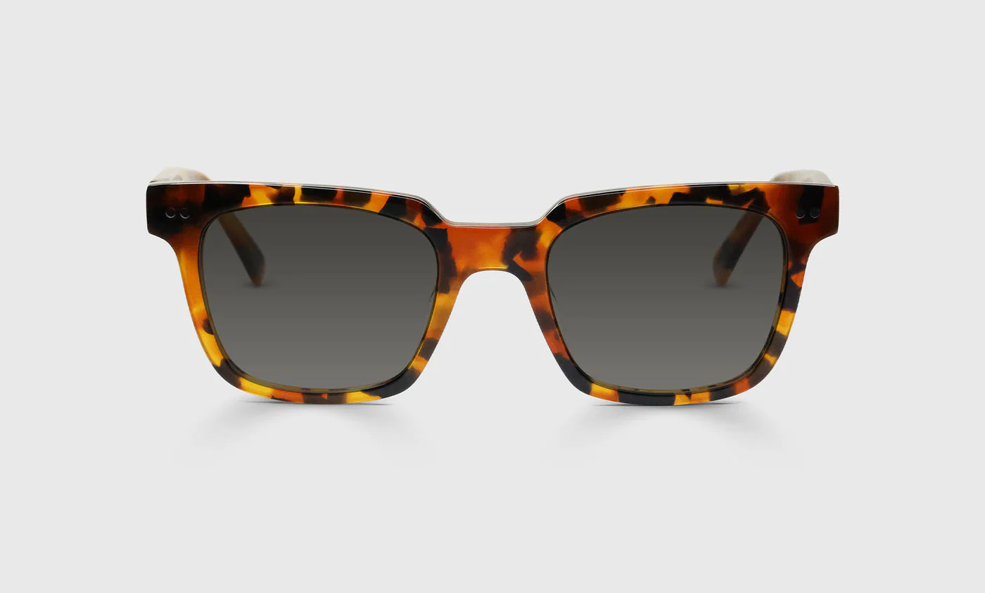 In Cahoots Color 19 - Amber Tortoise Front and Temples