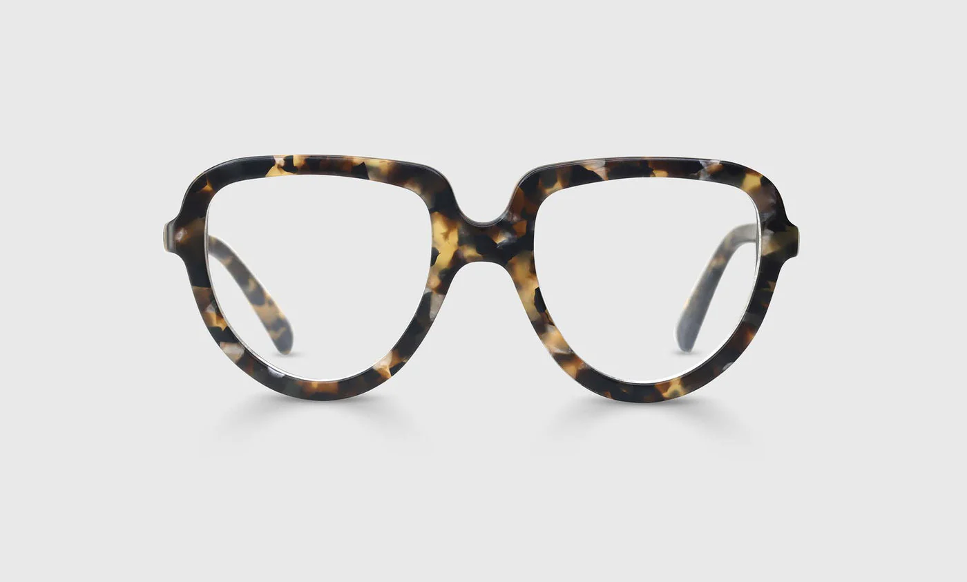 The Big Tiny Color 19 - Matte Tortoise Front and Temples