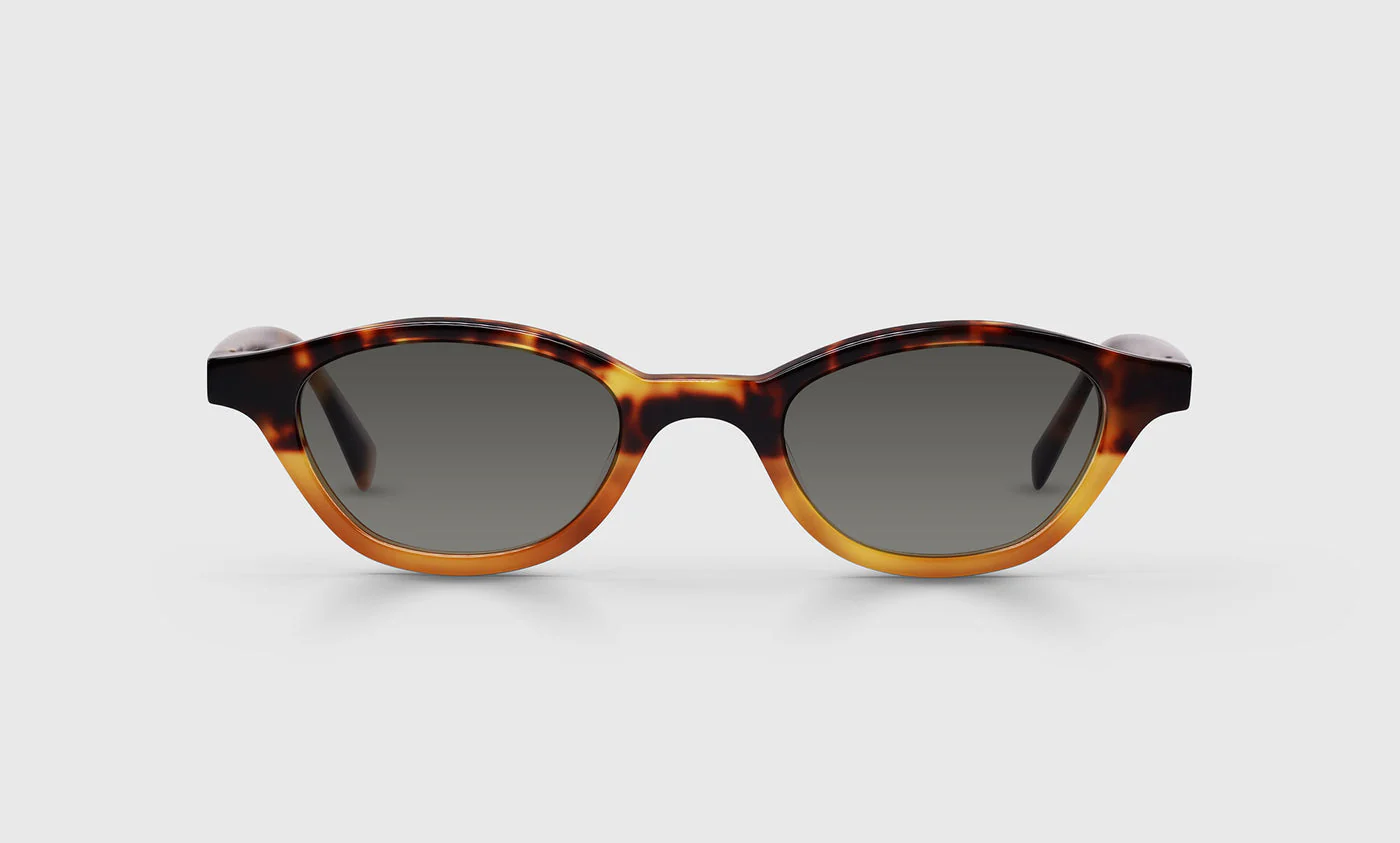 Pickwick Color 19 - Tortoise to Amber Fade Front and Temples