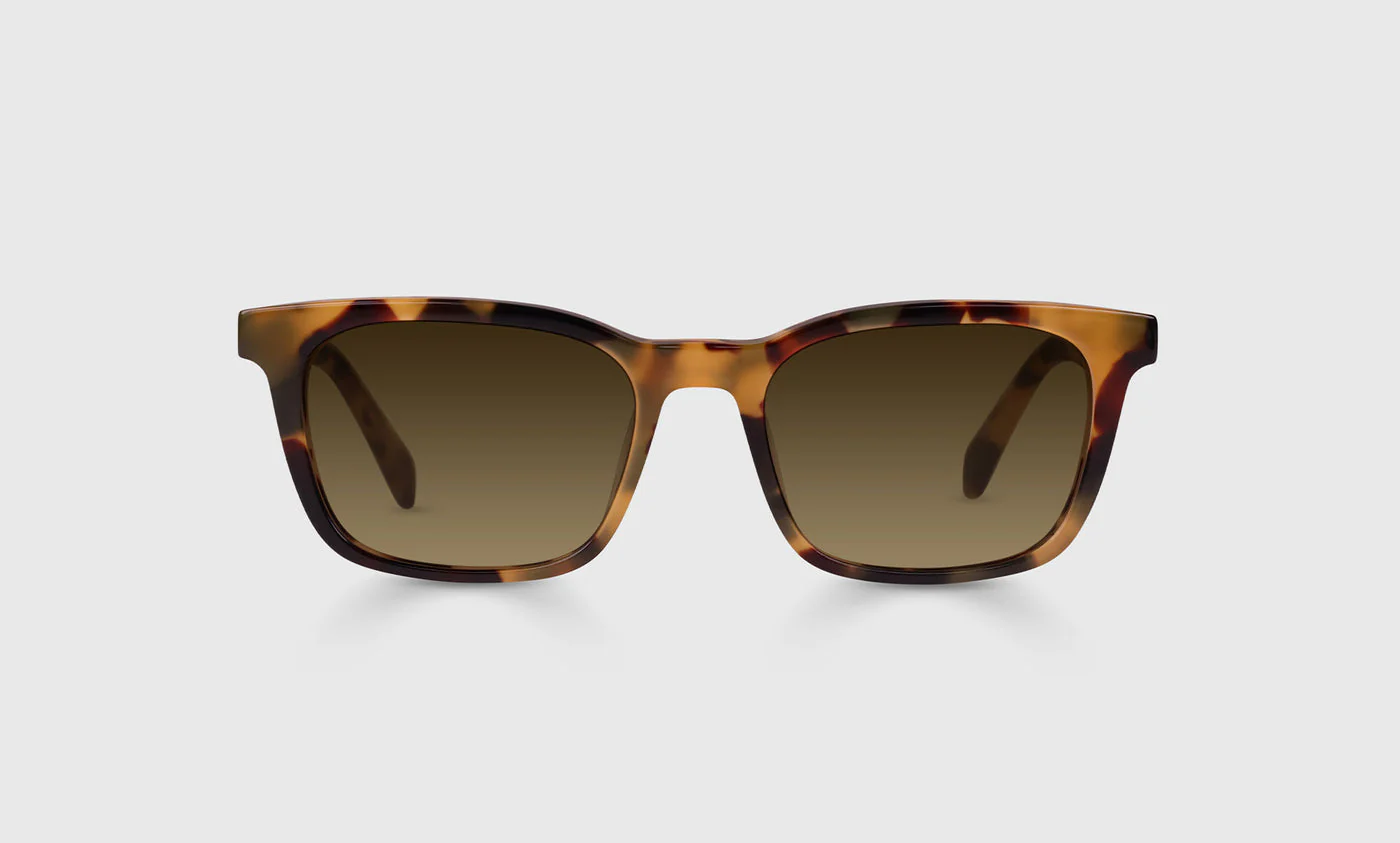 Brain Break Color 19 - Tortoise Front and Temples