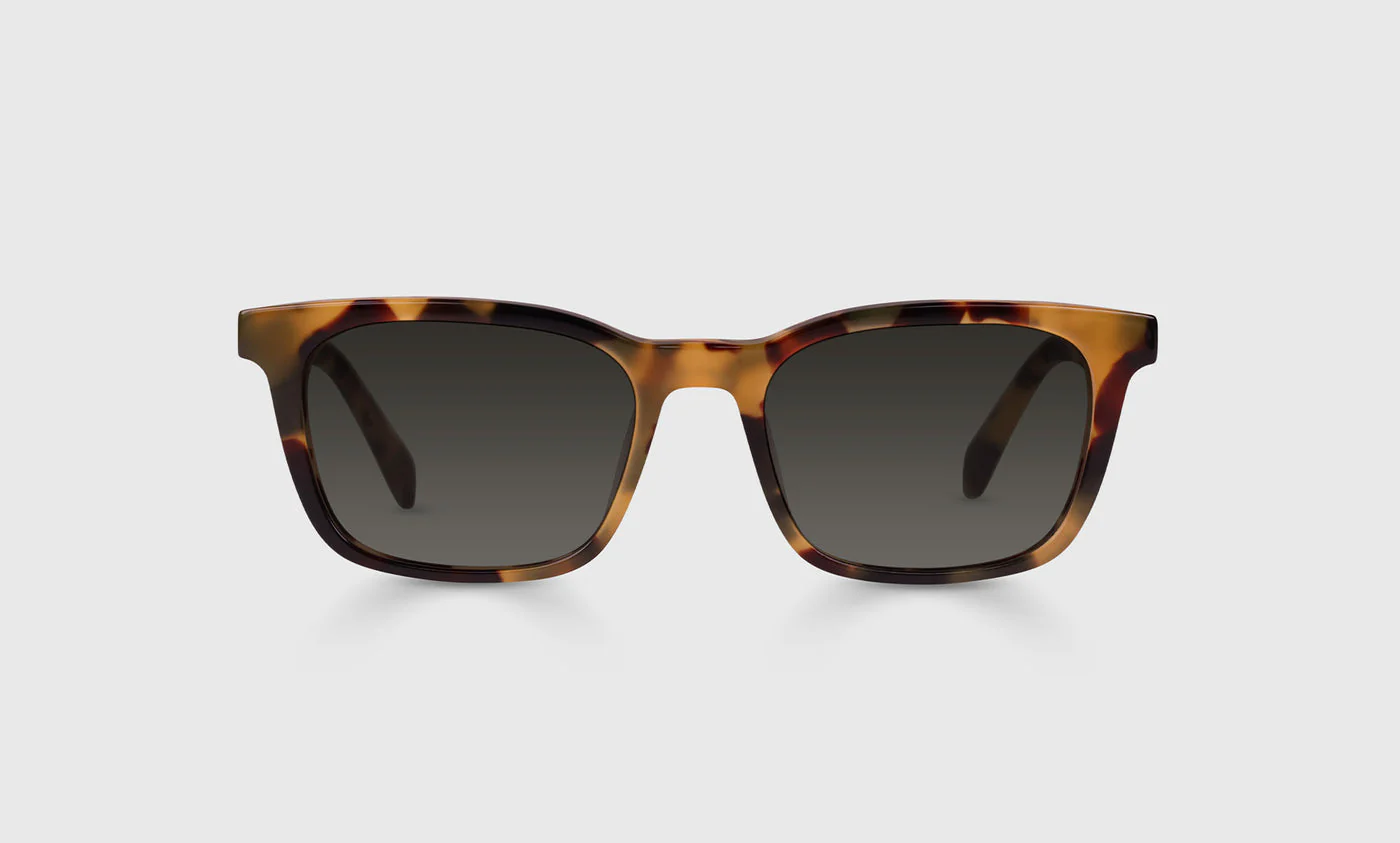 Brain Break Color 19 - Tortoise Front and Temples - Image 2