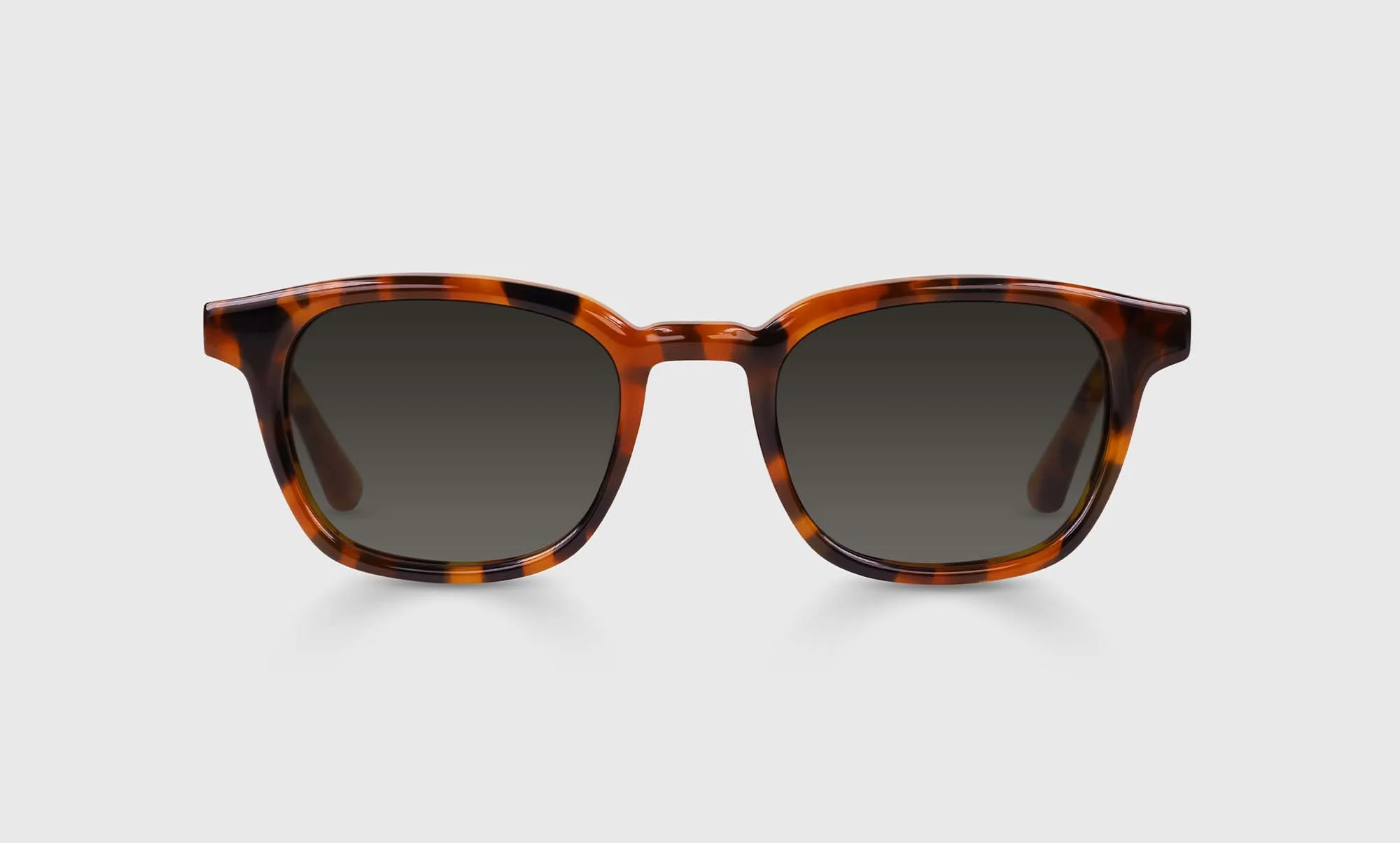 Shareholder Color 19 - Tortoise Front and Temples