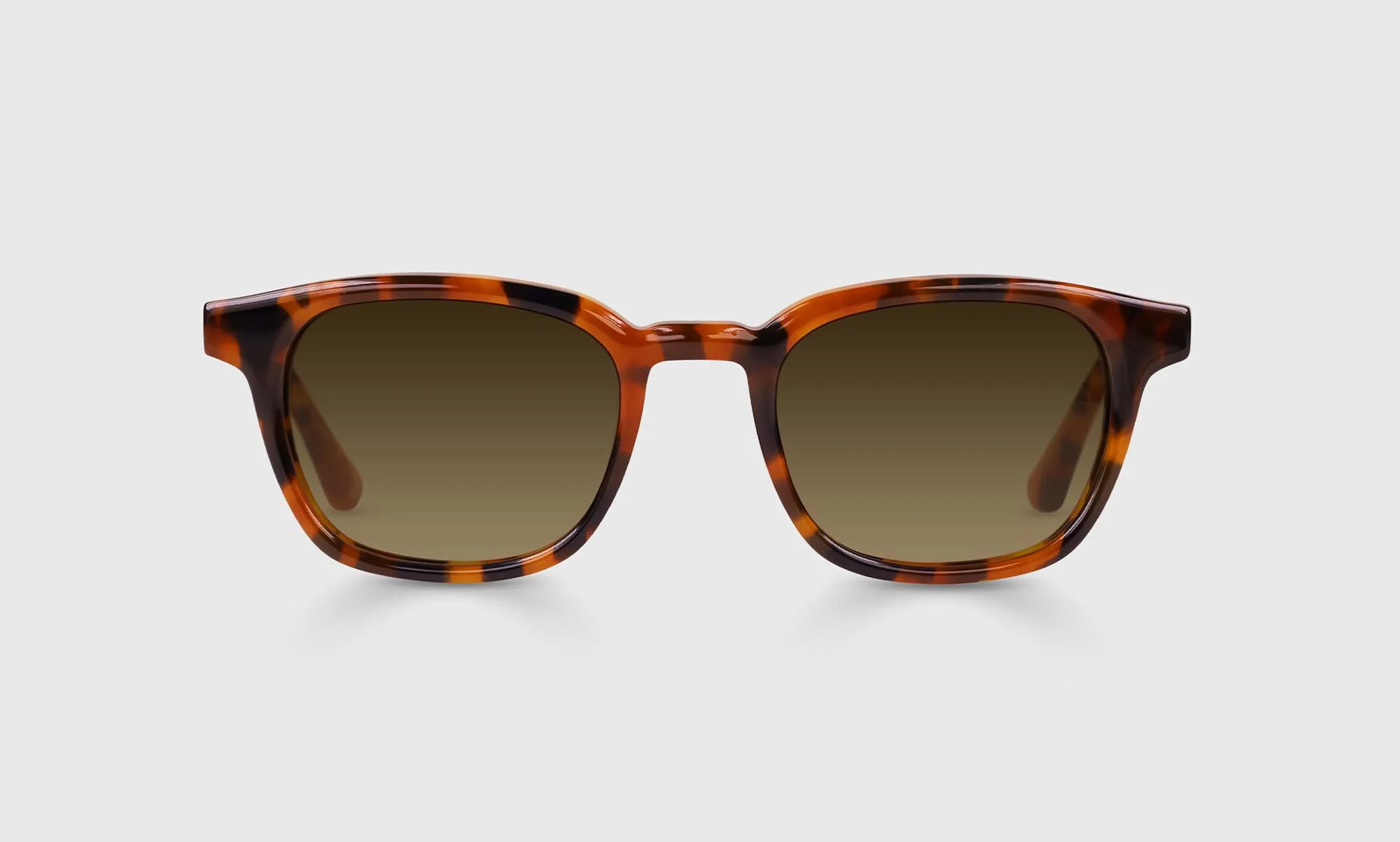 Shareholder Color 19 - Tortoise Front and Temples