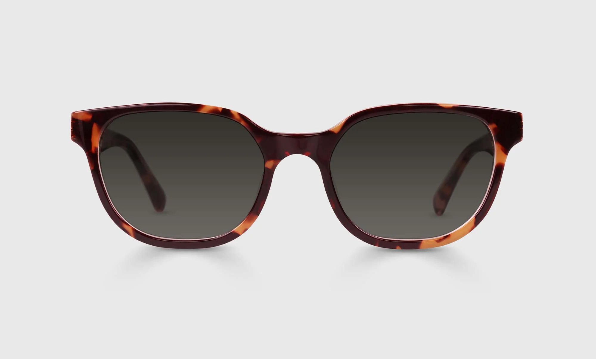Miss Perception Color 19 - Tortoise Front and Temples - Image 2