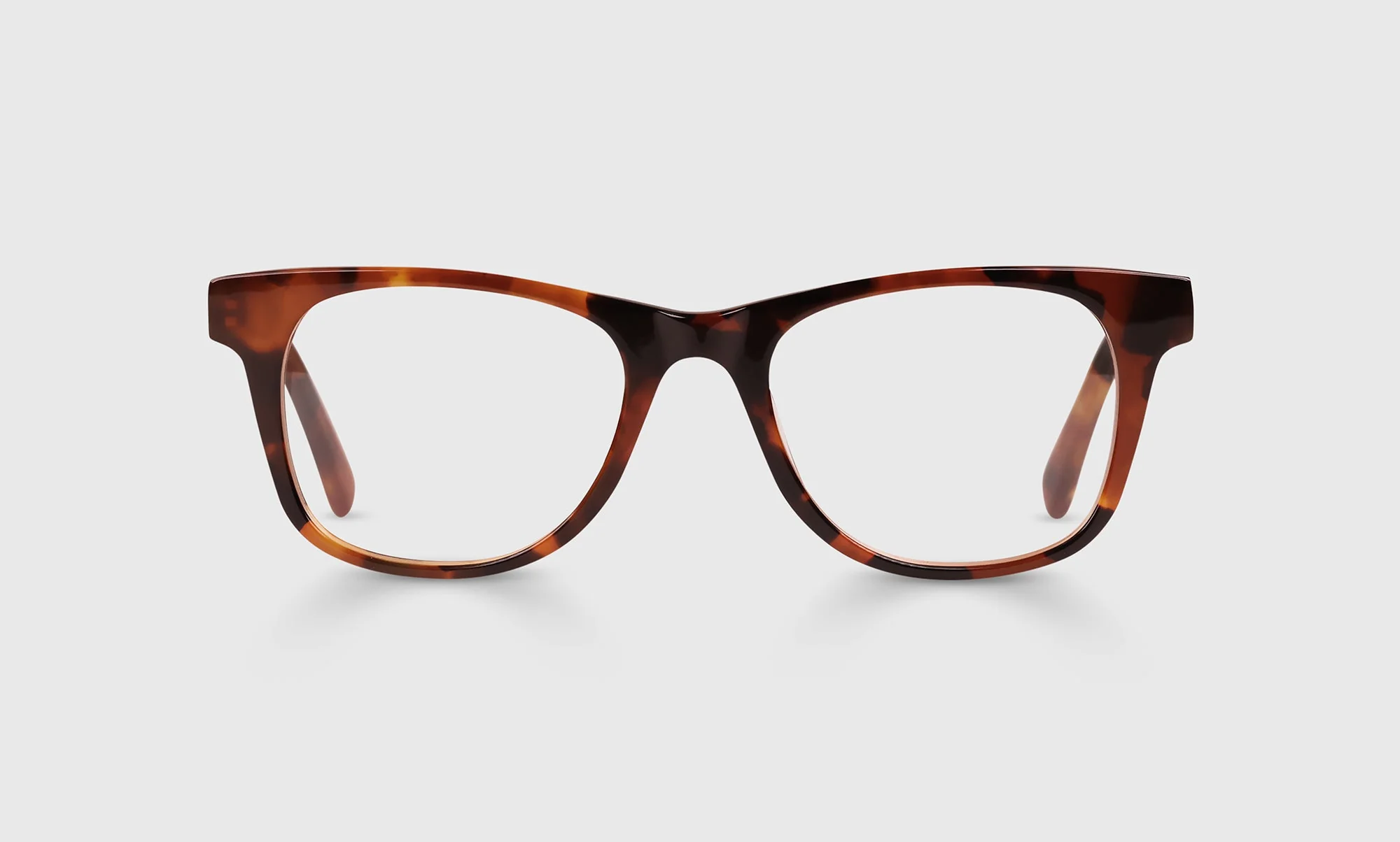 The Director Color 19 - Tortoise Front and Temples