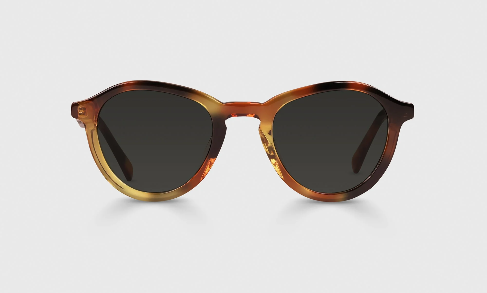 Public Eye Color 19 - Autumn Tortoise Front and Temples - Image 2