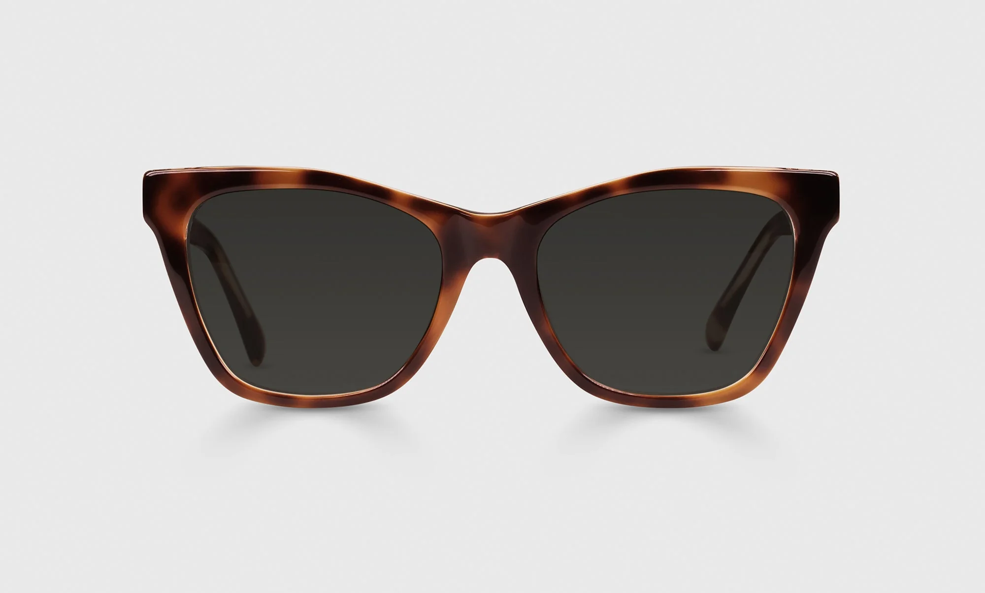 Kitten Around Color 19 - Tortoise Front and Temples