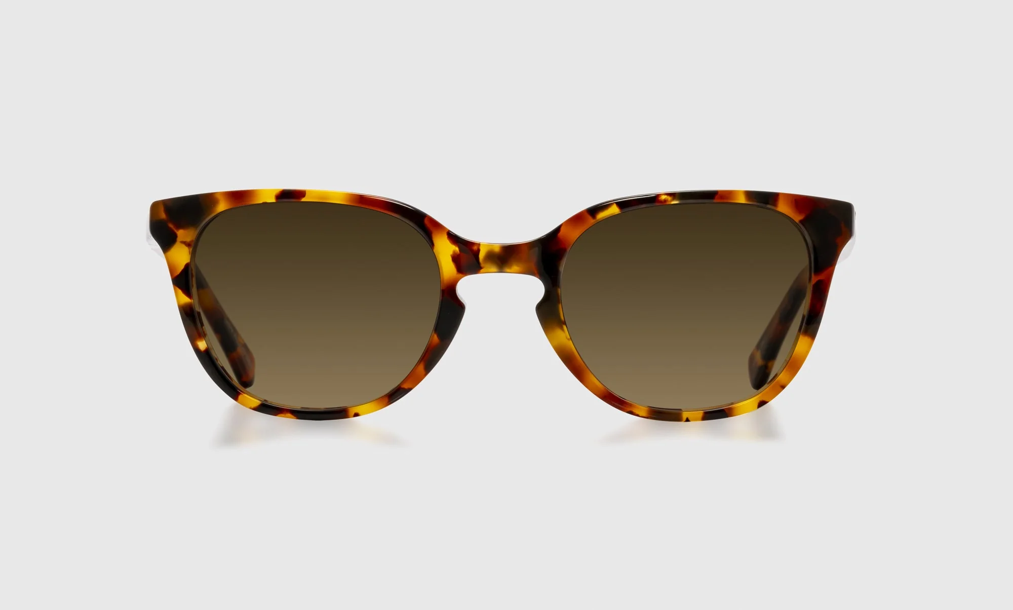 Decent Proposal Color 19 - Tortoise Front and Temples