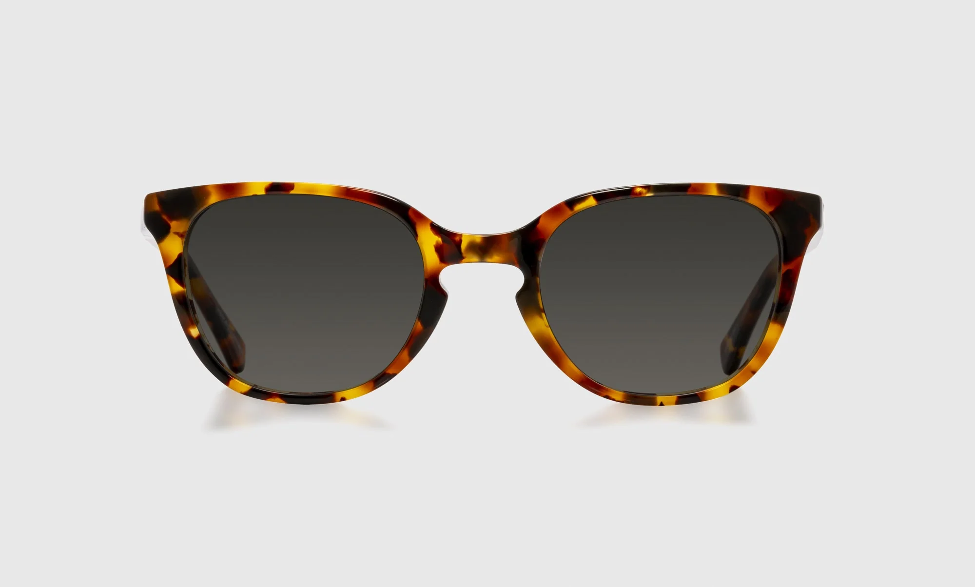 Decent Proposal Color 19 - Tortoise Front and Temples - Image 2