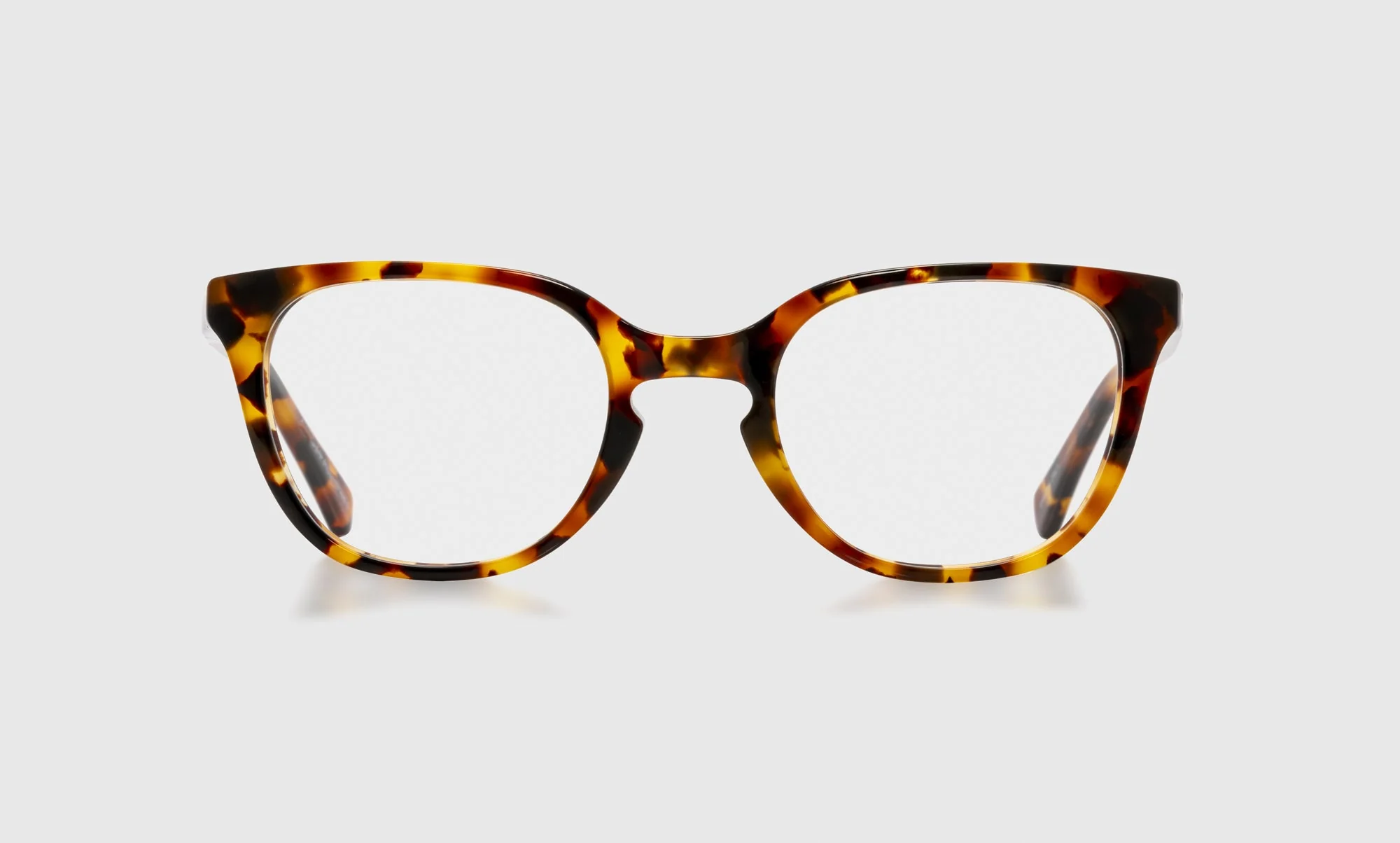 Decent Proposal Color 19 - Tortoise Front and Temples