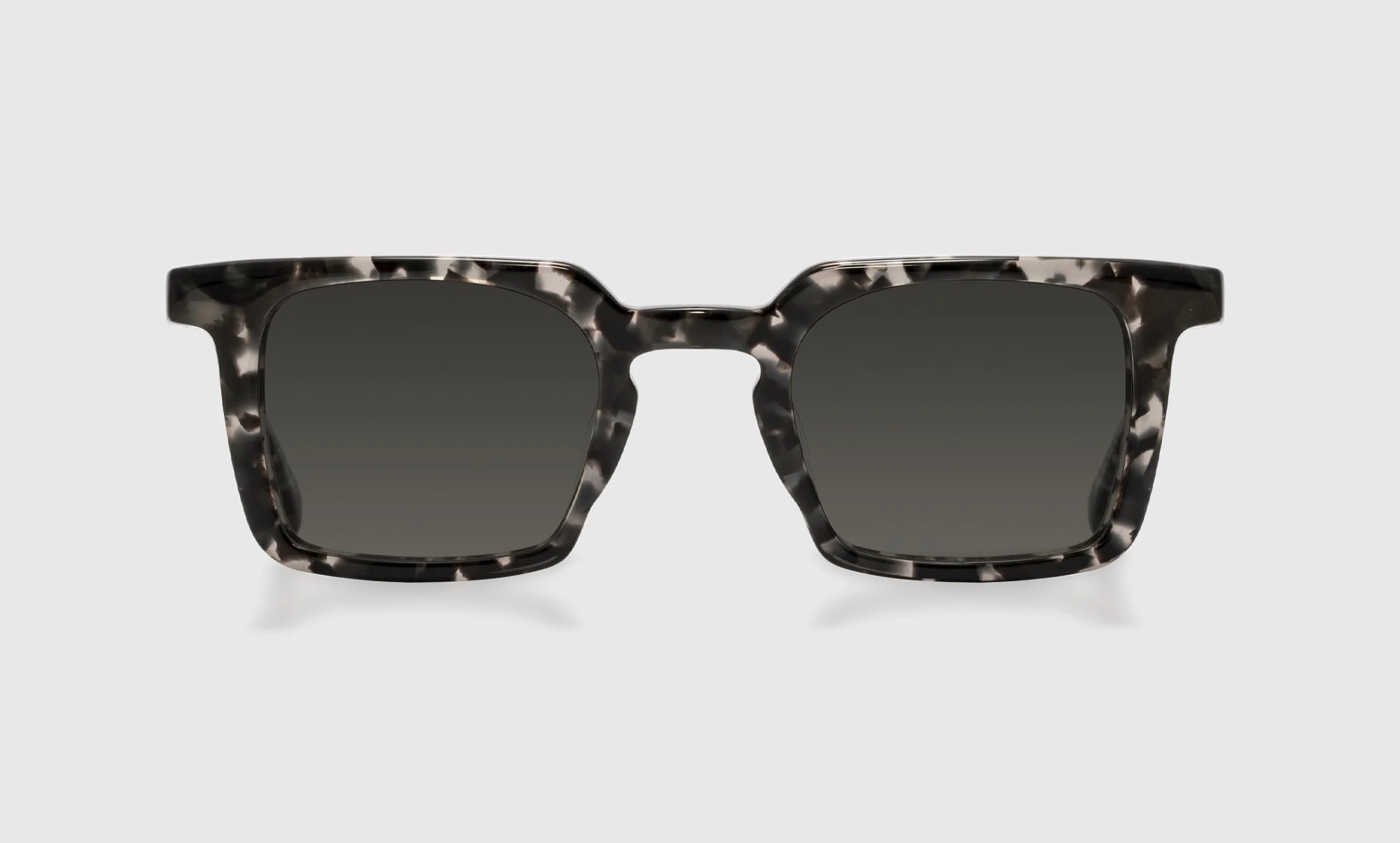 Big Wig Color 00 - Fog Grey Tortoise Front and Temples