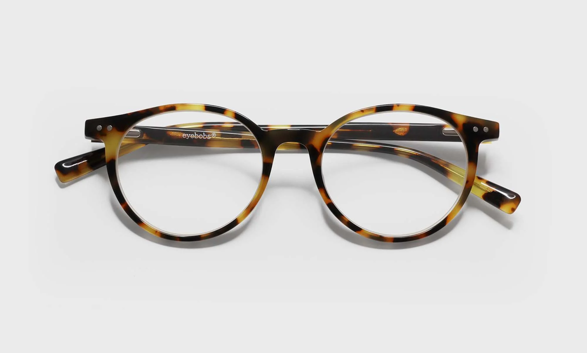 TEST Case Closed Eyeglasses 2 - Image 3